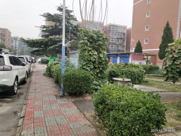 太平庄东里实景图