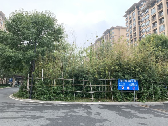 科兴佳园实景图