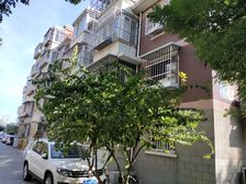 含晖苑 3室2厅 南 北