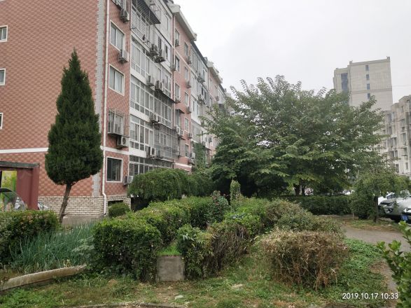 太平庄东里实景图