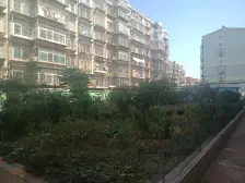 房子地理位置好。采光好、通风好、视野好。出行方便