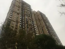 正荣品质联排端户花园大拓展空间多松柏书包房