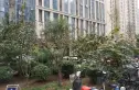 新合作城市广场实景图