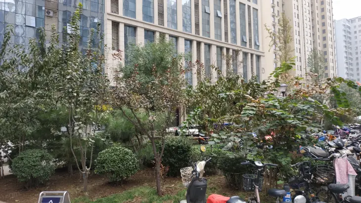新合作城市广场实景图