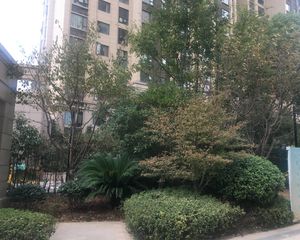 前后无档居住环境舒适全天采光充足