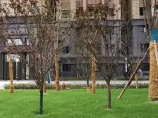 华南城中园四组团 3室1厅 南