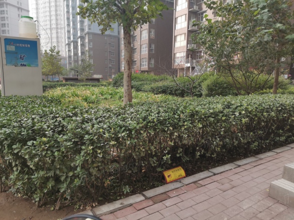 西部峰景实景图