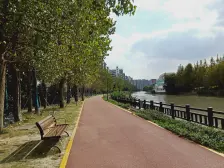 别墅社区的复式大面积三代同堂18号线康桥站800米