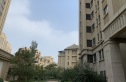 世茂茂悦府实景图