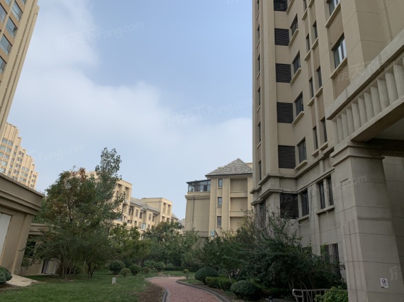 世茂茂悦府实景图