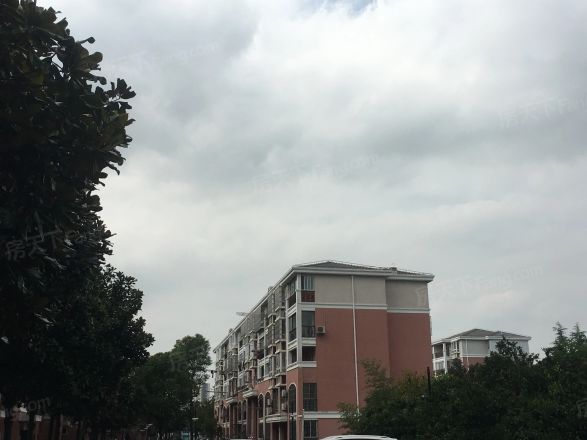 外冈新苑实景图