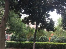 全屋空调+好楼层!+精装修拎包入住!