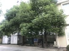 近地铁电梯房,精装随时看房,新上房源