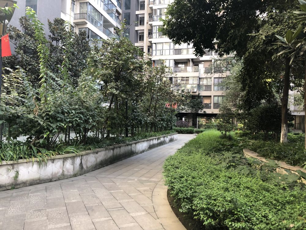 小区相关图