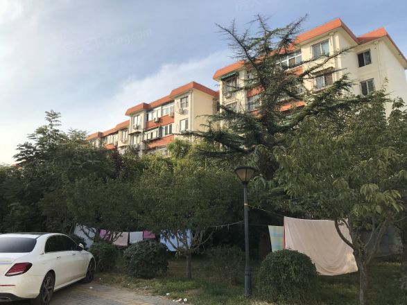 农大绿苑实景图