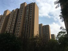 菊园新区·新城悠活城(**楼)·1室·1厅