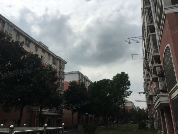 外冈新苑实景图