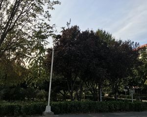 绿苑3室1厅南北