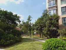 南北二房,满五年且一套 近康桥大润发 18号康桥站,双卫户型