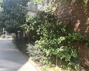 商品房楼梯房精装保养好挨近联丰闹市得房率高