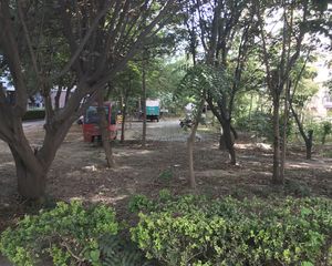 夏霖园1室1厅南北
