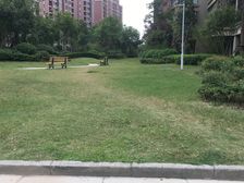 南北通边套小区前排好楼层视野采光好自住保养清爽