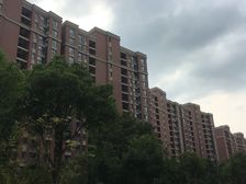 天居自住精装嘉闵延长线大面积双卫位置好