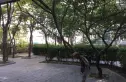 小石桥胡同实景图