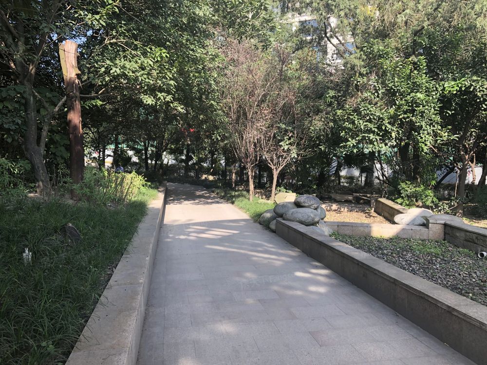 小区相关图