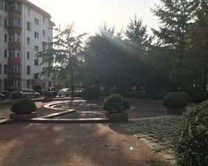 绿苑2室1厅南北