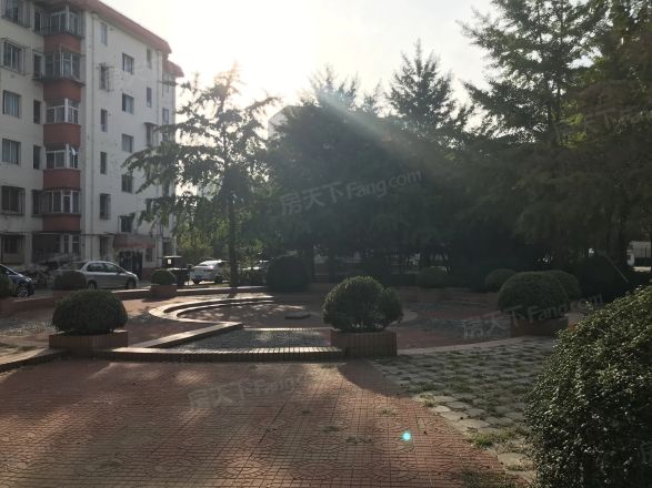 农大绿苑实景图