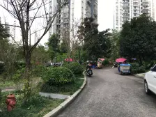 麒雅中央花园B区 3室2厅 南