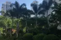 半山香榭实景图