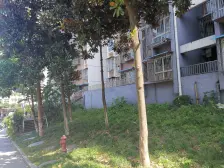 小龙坎 欣芳苑一房30万