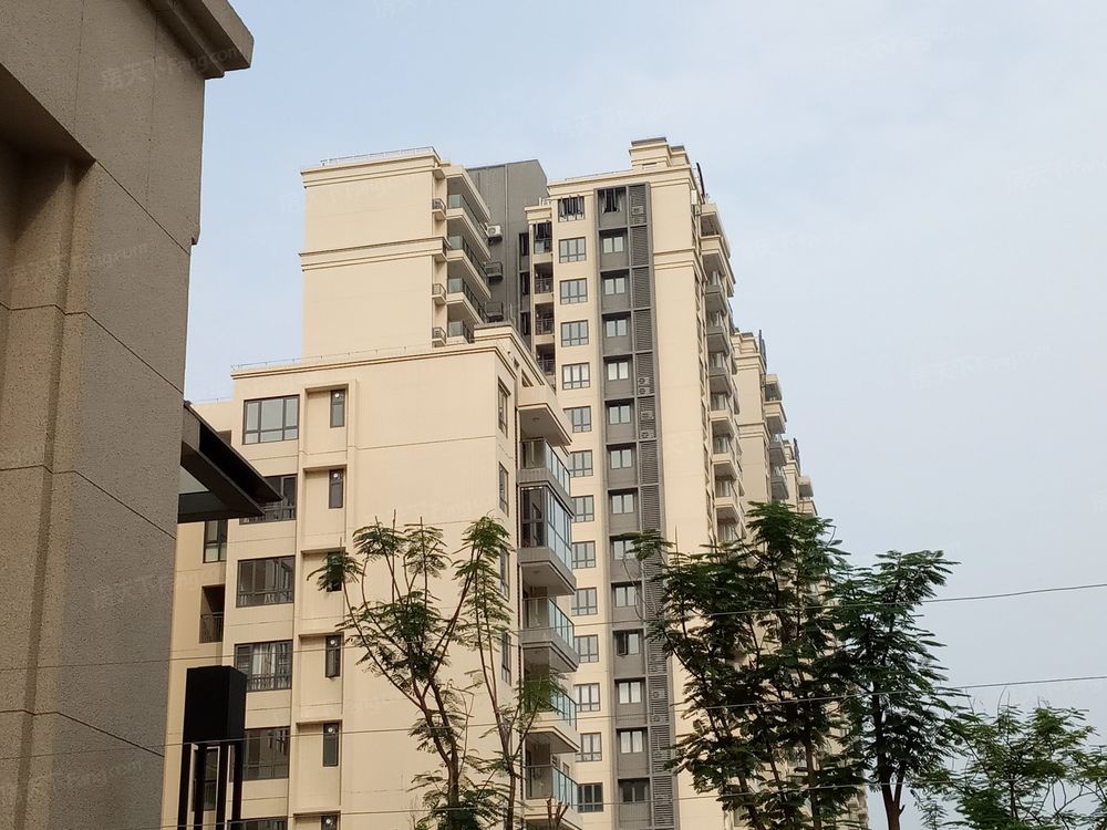 小区相关图