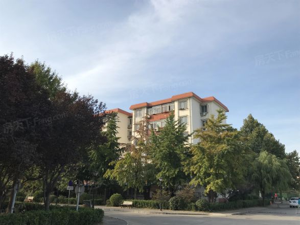 农大绿苑实景图