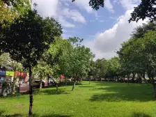 大竹林商业中心 大两室 精装修 近轨道交通方便