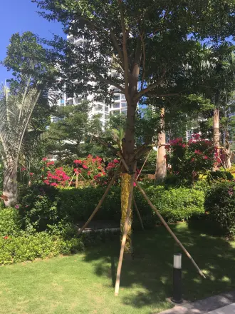 半山香榭实景图