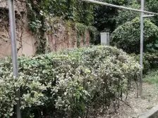 交通路1941弄小区1室1卫南朝向150.00万元/套出售