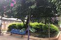 安泰花园实景图