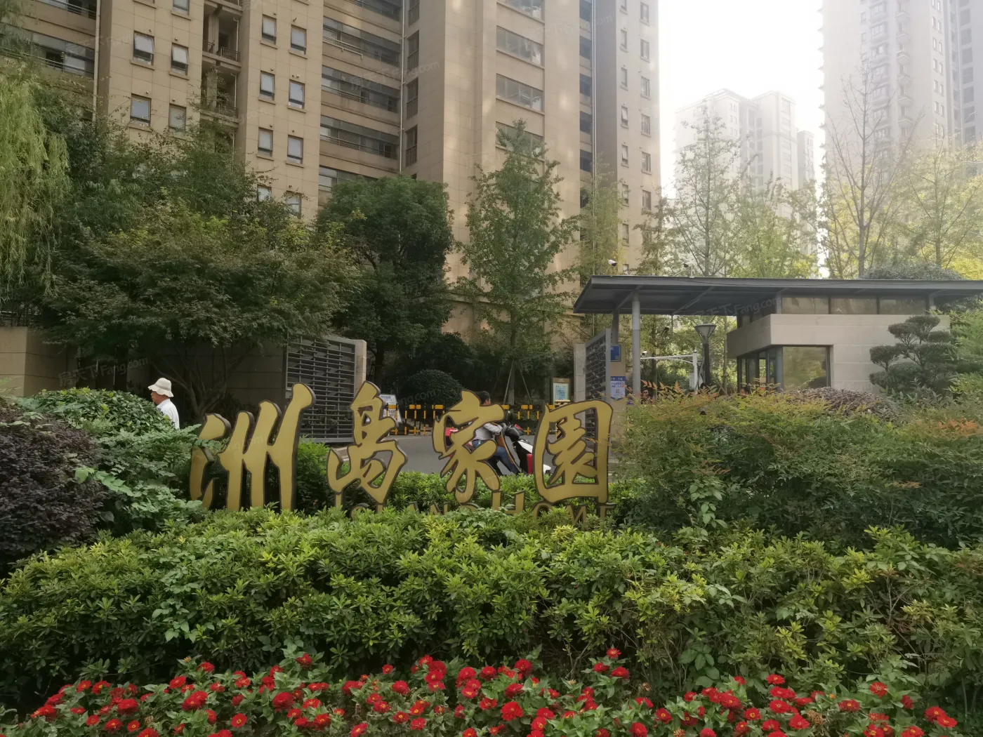 洲岛家园图片相册,户型图,样板间图,装修效果图,实景图-南京房天下