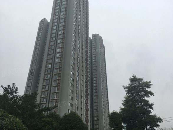 云水苑实景图