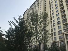 潞苑·中建·雅颂居·2室·1厅