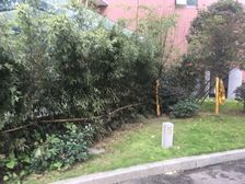 鼎城上都2室1厅西北