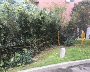 鼎城上都2室1厅西北