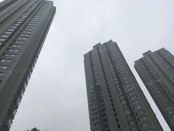 云水苑实景图