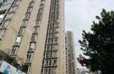 紫东锦源实景图