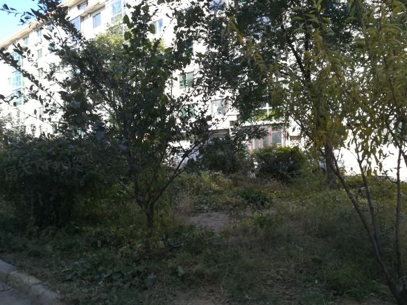 银山小区实景图