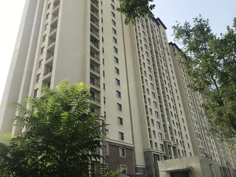 中建雅颂居小区详情