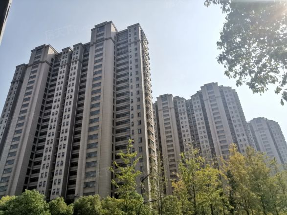 【南京洲岛家园小区,二手房,租房】- 南京房天下